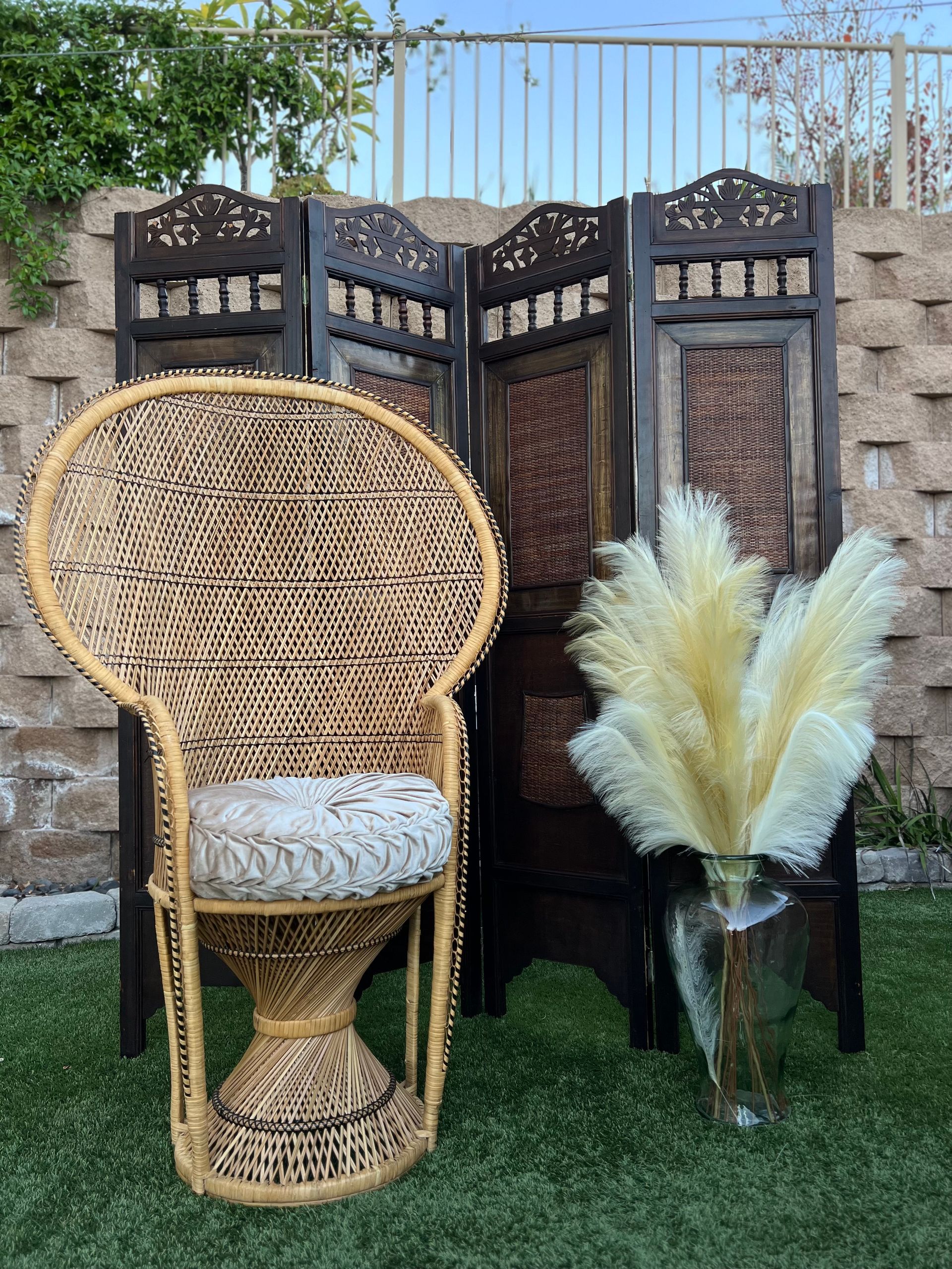 Rattan Screen & Peacock Chair
