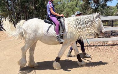 A Live Unicorn Ride With Kid — San Diego, CA —The Posh Unicorn