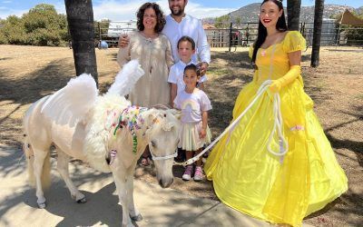 A Private Unicorn Birthday Party With Luxury Picnic — San Diego, CA —The Posh Unicorn