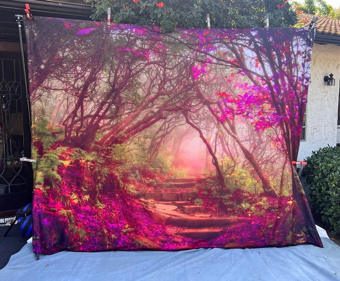 Unicorn Paparazzi Photo Backdrop