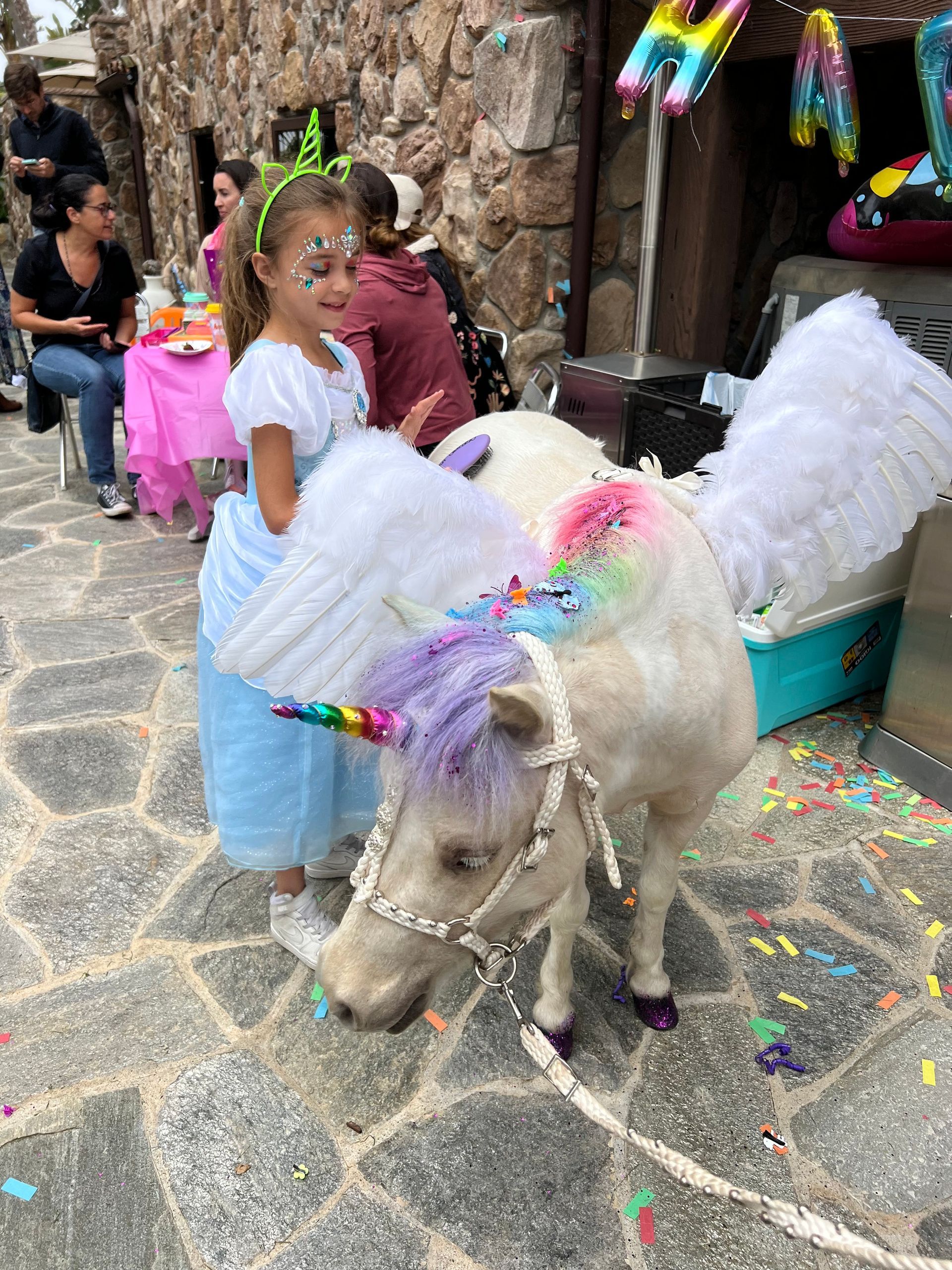 Planning a Magical Unicorn Birthday Party with The Posh Unicorn in San Diego  – San Diego, CA – The Posh Unicorn