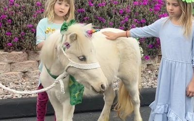A St. Patrick’s Day Themed Unicorn Pony — San Diego, CA —The Posh Unicorn