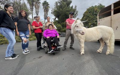 A Live Unicorn VIP Meet & Greet — San Diego, CA —The Posh Unicorn