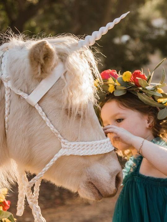 Little Girl Getting Close to the Pony – San Diego, CA – The Posh Unicorn