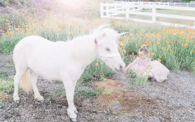 A Majestic Spring Unicorn Pony Photoshoot — San Diego, CA —The Posh Unicorn