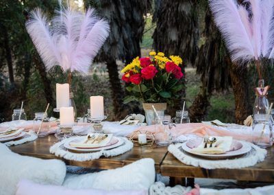 Pink themed luxury picnic - Optional add-on to make each Posh Unicorn Luxury Picnic in San Diego unique