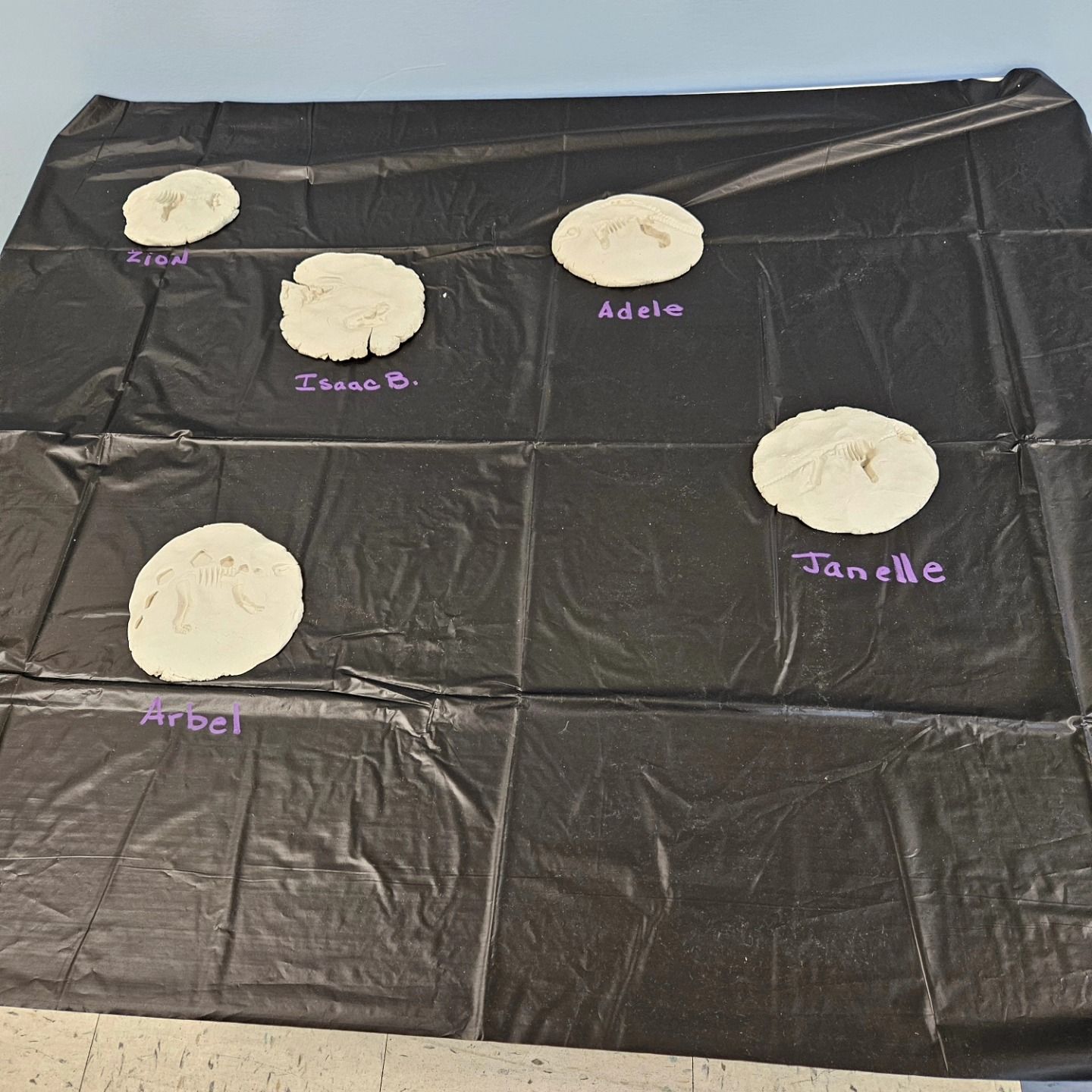 Five sand dollars are arranged on a black surface, each labeled with a name written in purple marker.
