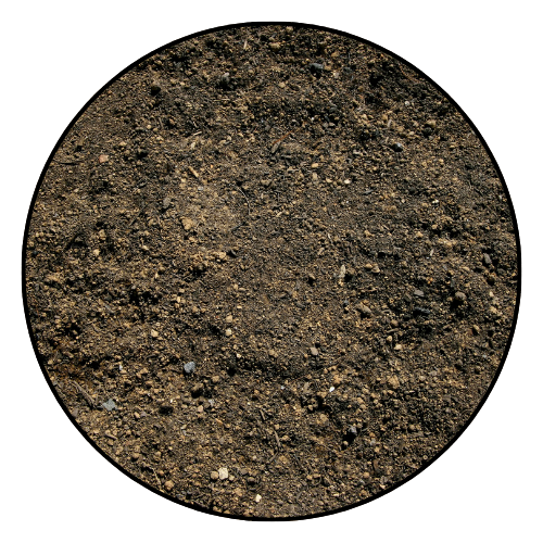 Dark brown soil, inside a black-lined circle, with small pebbles visible.