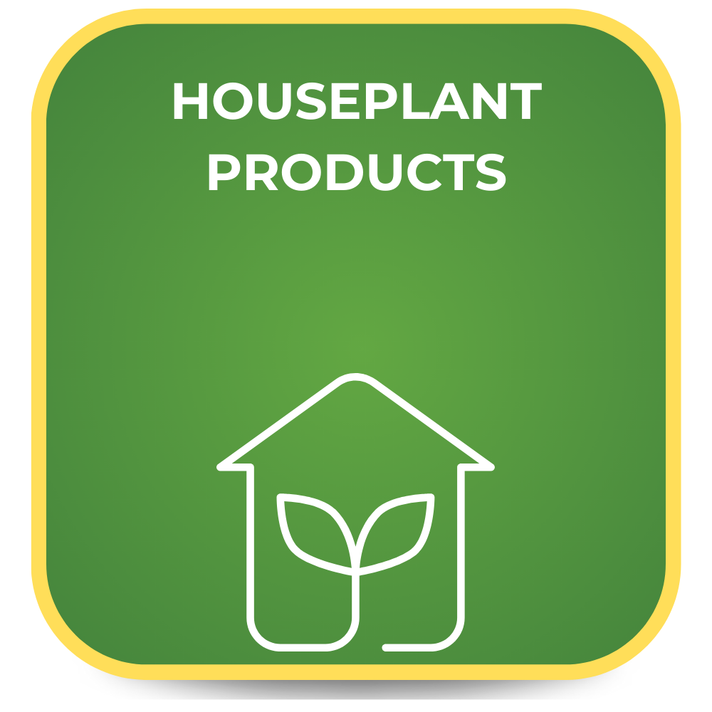 Green button with white text