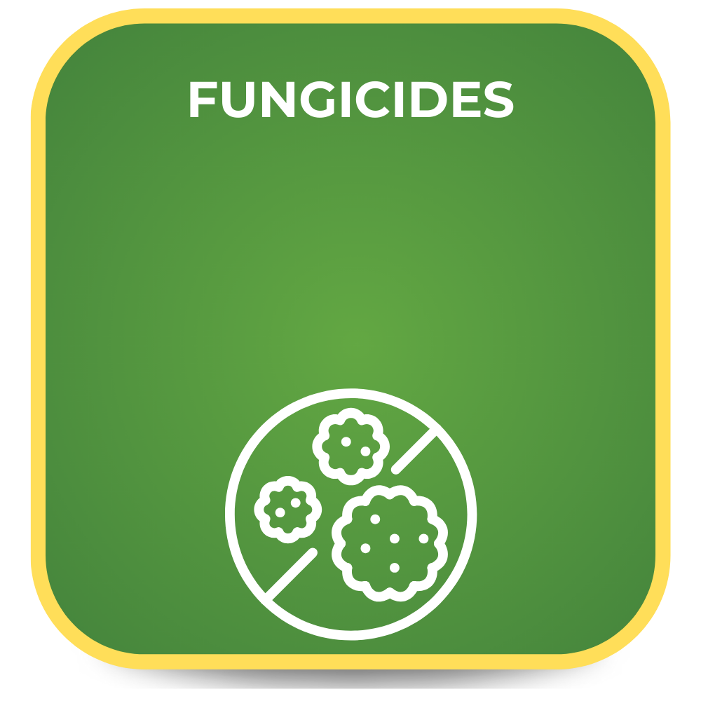 Green square with lime and acidifiers text and white shield icon with mold illustration