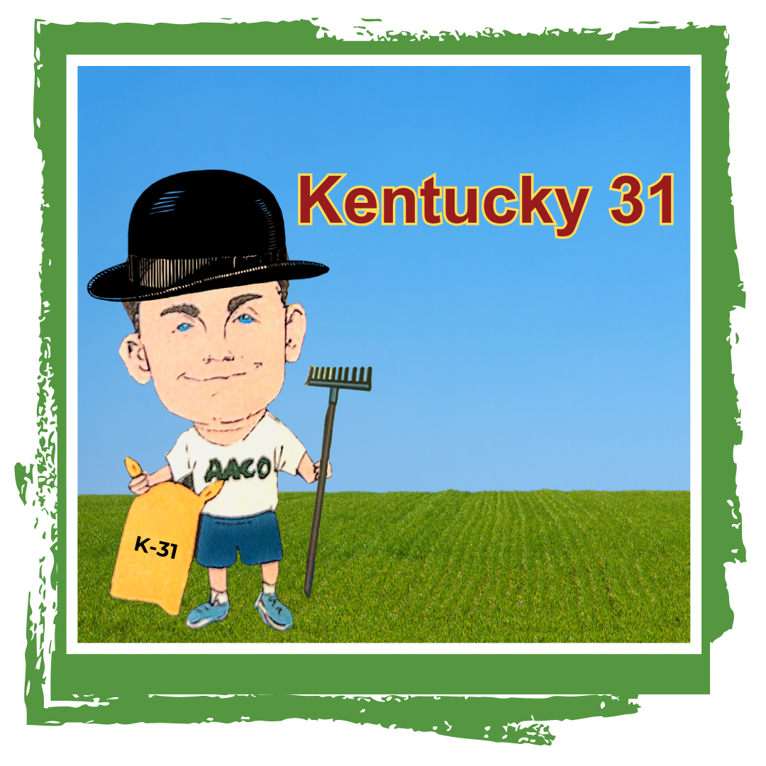 Owner cory caricature holding rake, wearing a black hat and grass seed with Kentucky 31 text