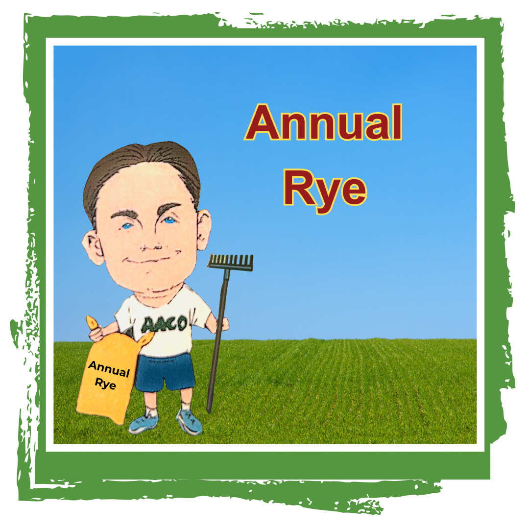 Owner cory caricature holding rake and grass seed with annual rye text