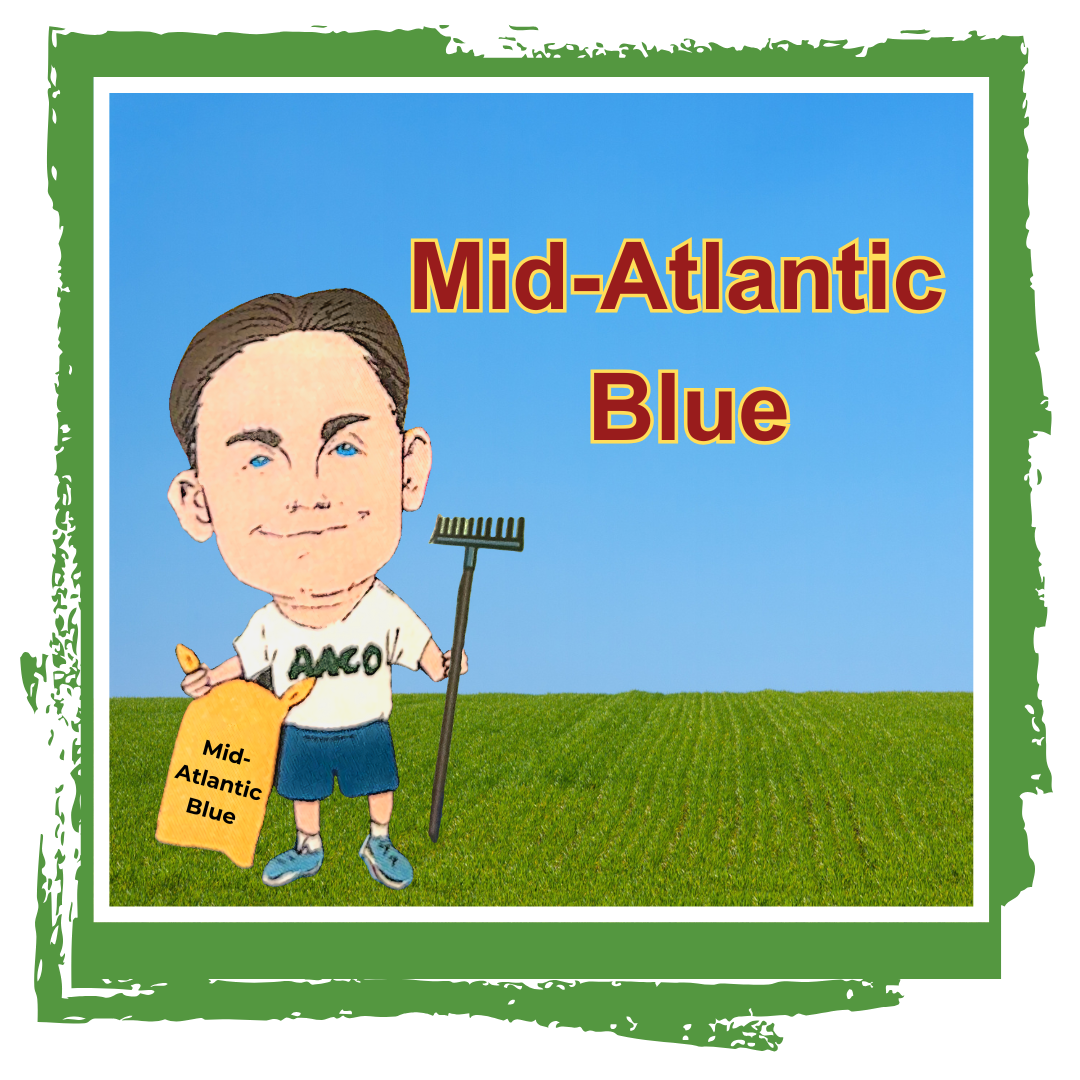 Owner cory caricature holding rake and grass seed with mid-atlantic blue text