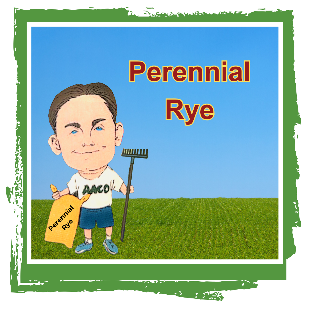 Owner cory caricature holding rake and grass seed with perennial rye text