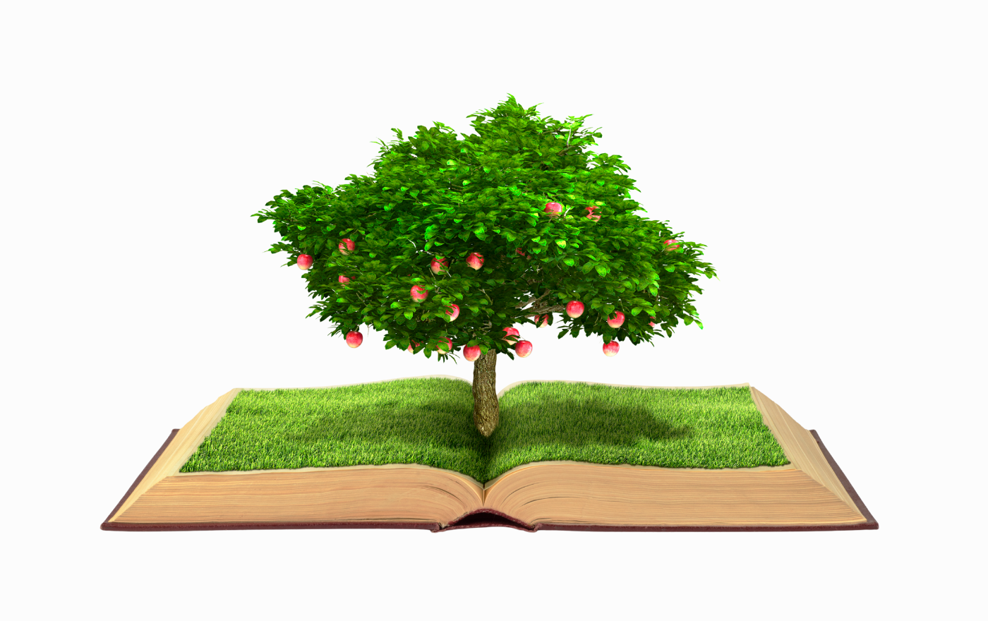Open book with grass and a tree growing from it, apple tree with red fruit, white background.