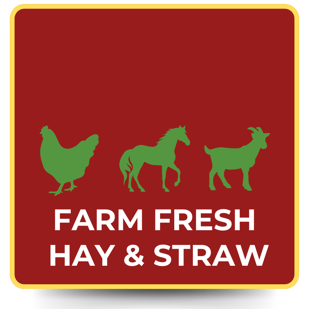 Red square with green silhouettes of a chicken, horse, and goat; text reads 