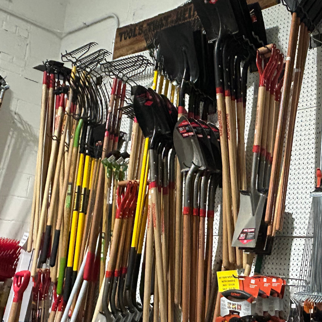 Shelves filled with various gardening tools, including shovels, rakes, and hoes, inside a store.