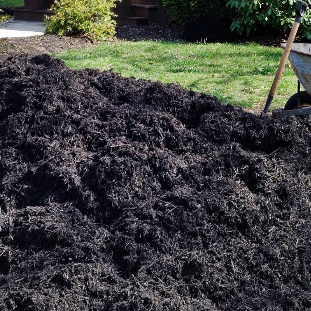 Pile of dark brown mulch on a lawn, wheelbarrow and shovel visible in the background.