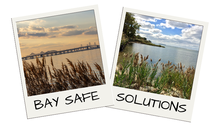 Two polaroid photos; one with a bridge over water, other with plants near water.