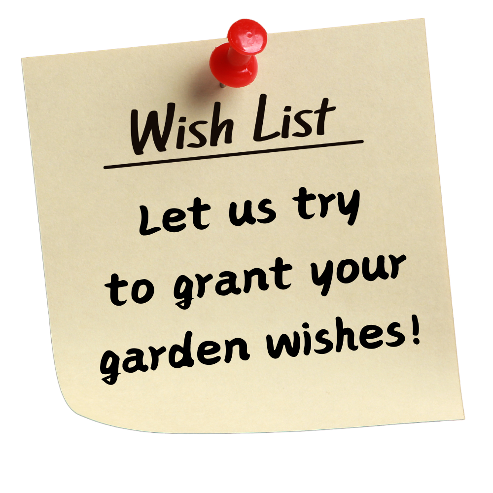 Yellow sticky note with red pin: