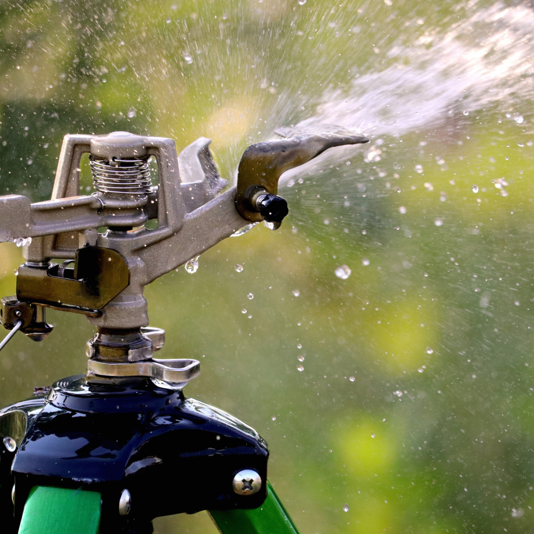 Sprinkler spraying water onto a green lawn, close-up, outdoors.