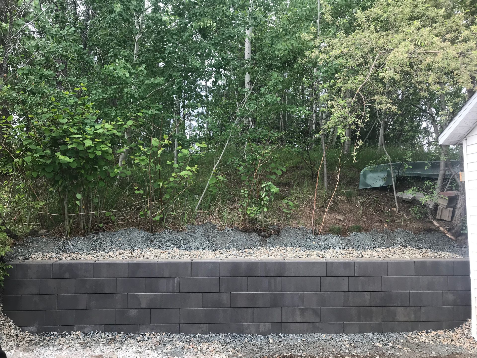 Un mur de briques se trouve au milieu d'une forêt.