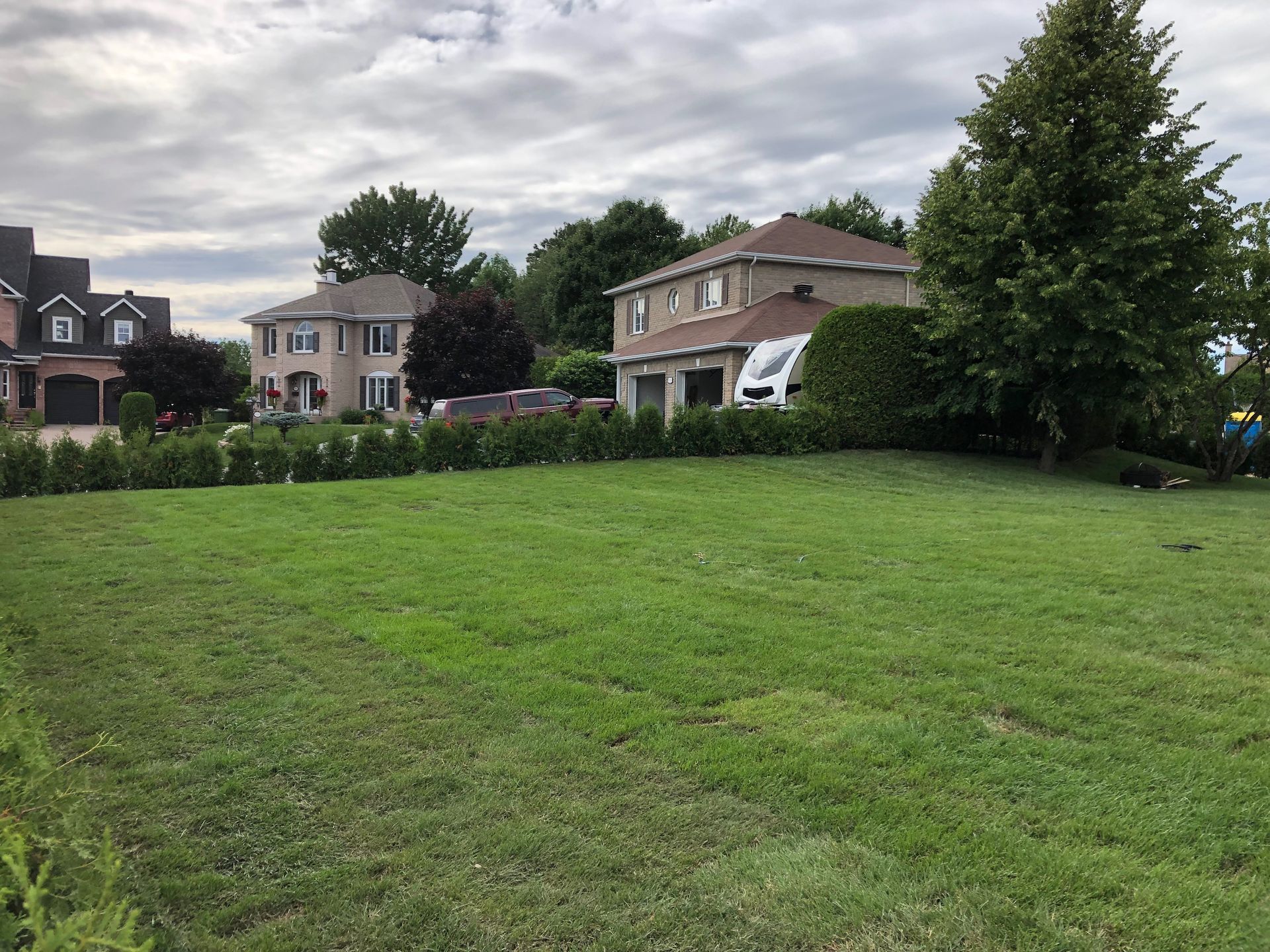 Un grand champ verdoyant avec des maisons en arrière-plan.