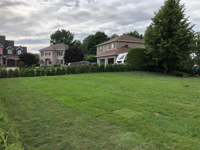 Un grand champ verdoyant avec des maisons en arrière-plan.