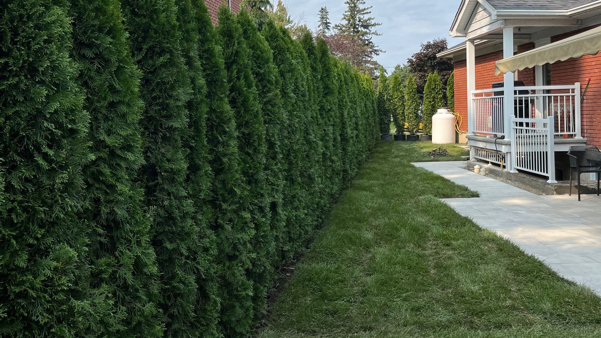 Une grande pelouse verte luxuriante devant une maison.