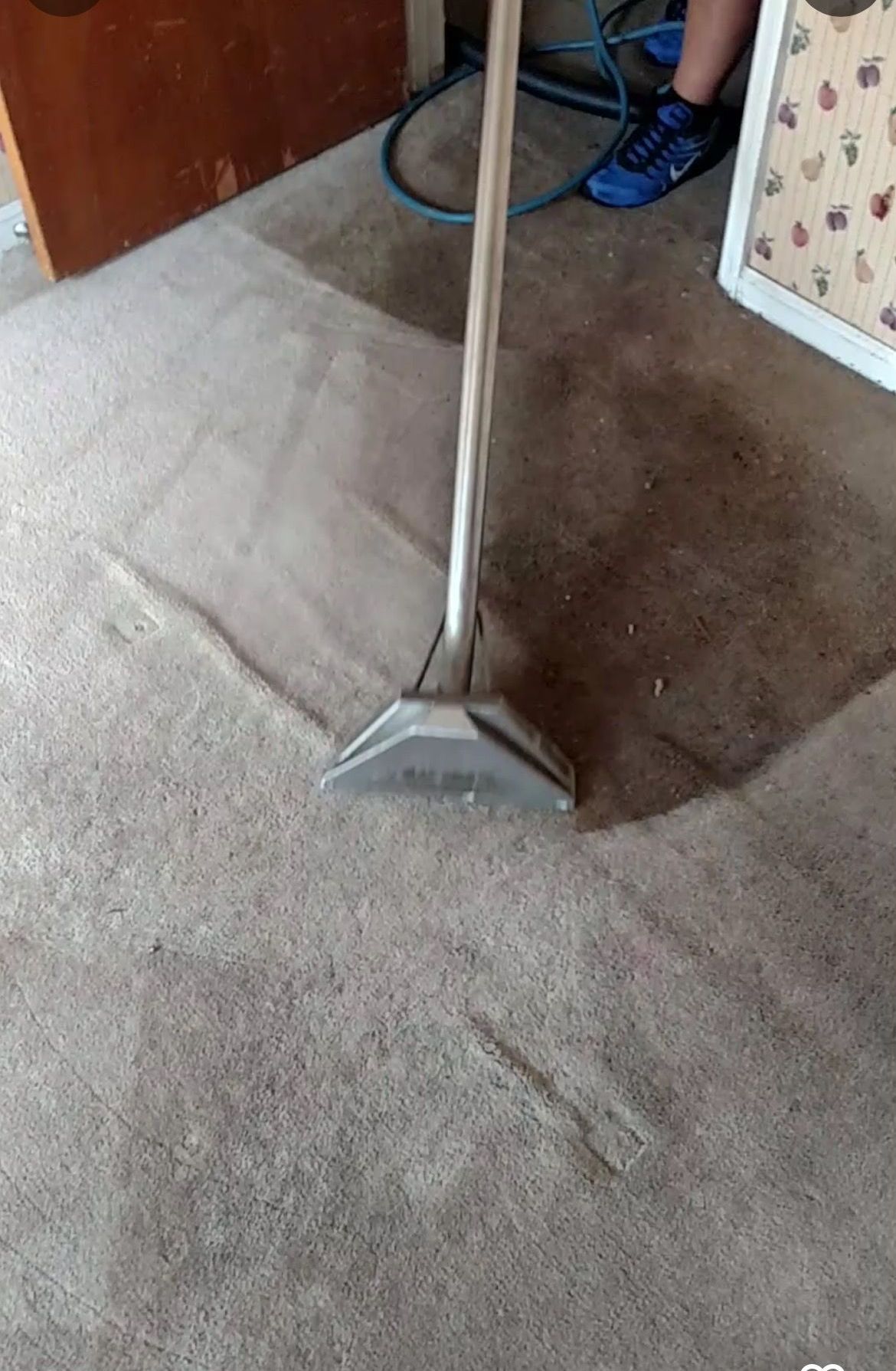 A person is cleaning a carpet with a vacuum cleaner.