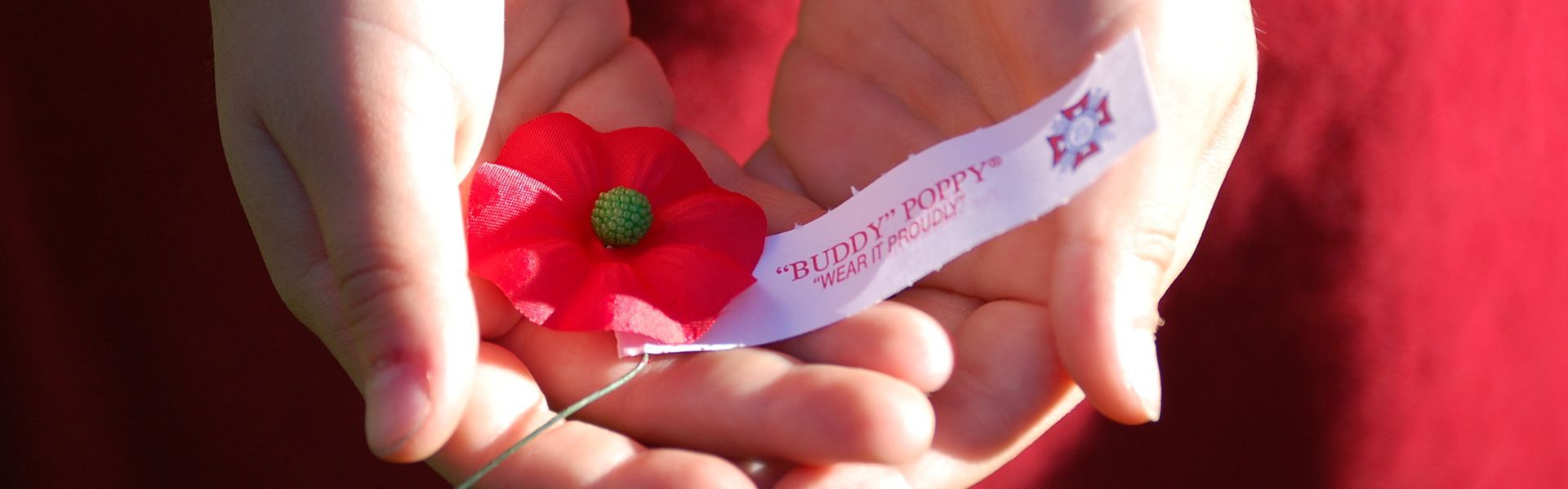 A person is holding a red poppy with a white ribbon around it.