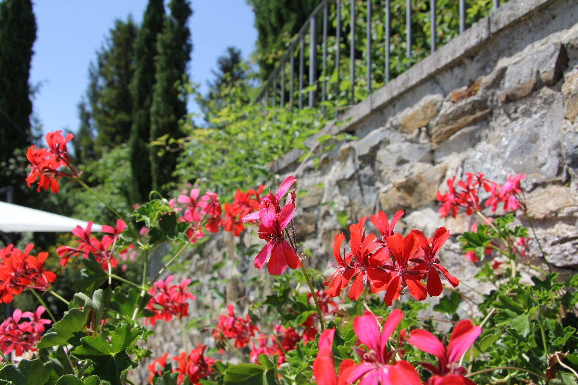 Bloembak bij de buitentrap