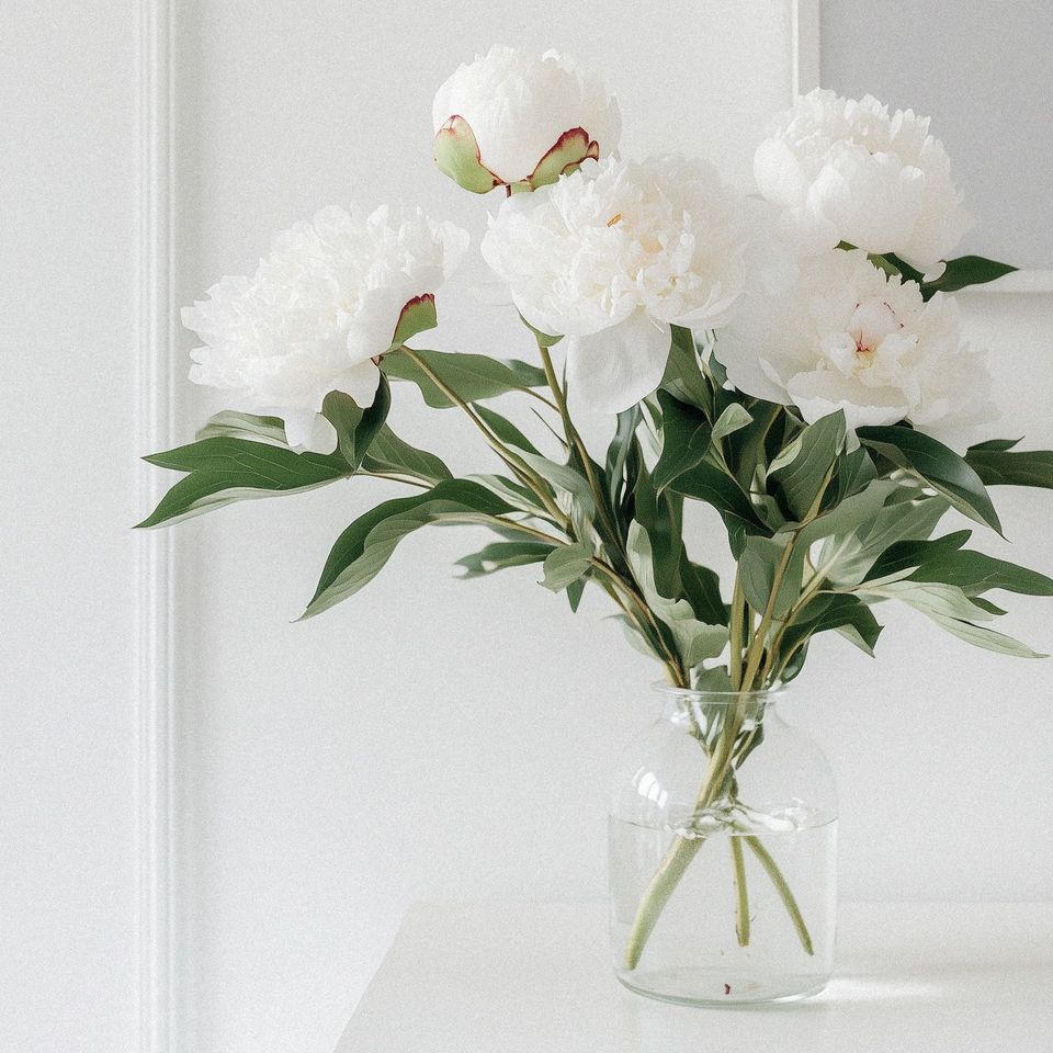 A vase filled with white flowers is sitting on a white table.