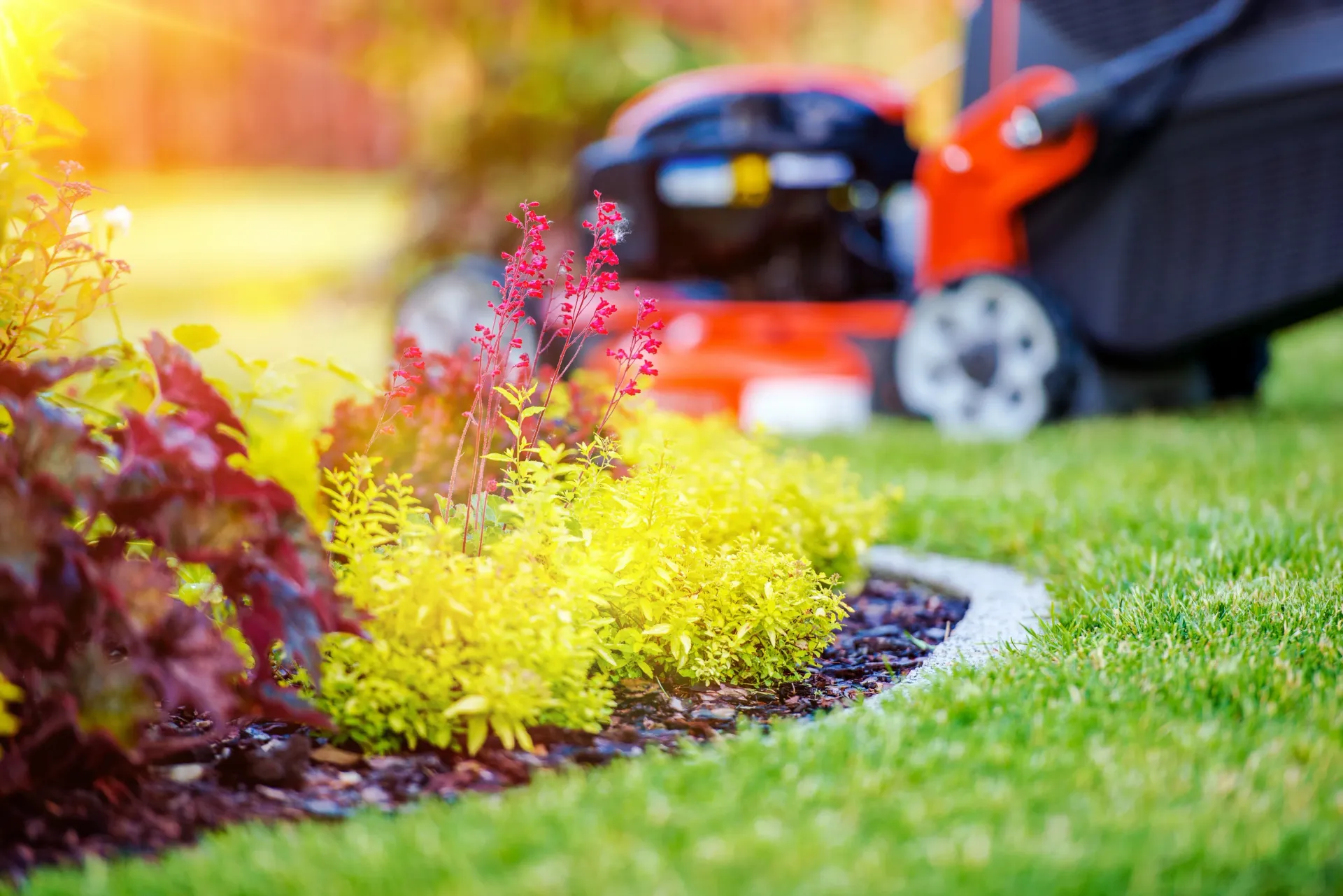 Lawn mower behind a colorful flowerbed with green grass, sunny setting.