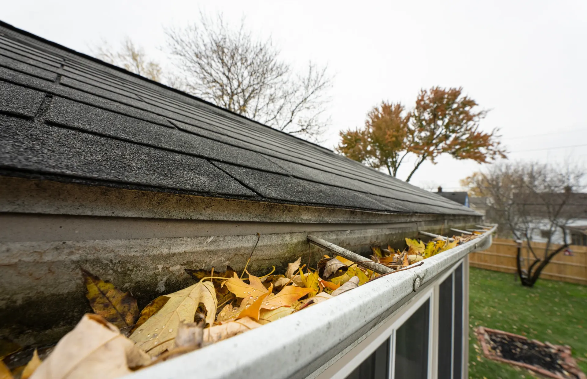 Gutter filled with yellow autumn leaves, near a dark roof and green lawn.