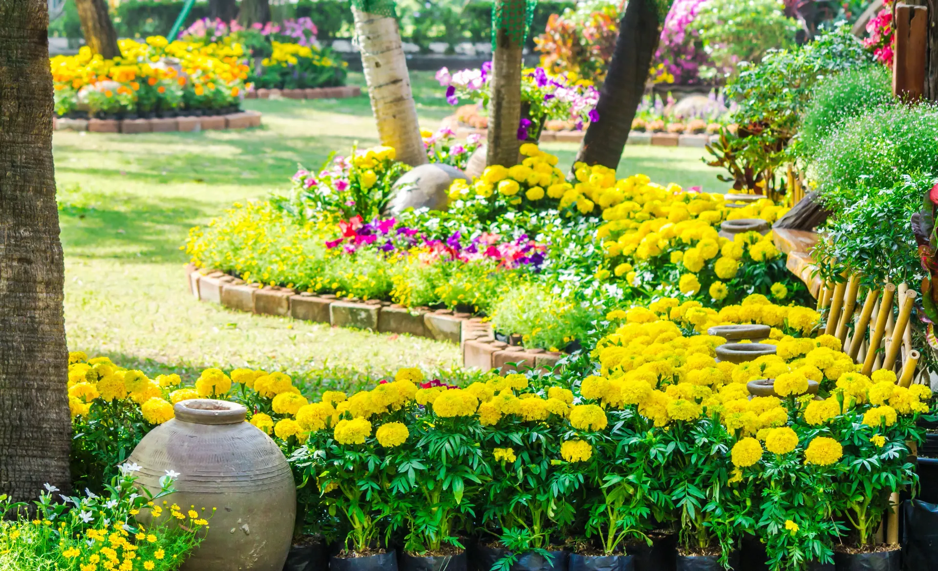 Yellow flowers in garden beds with green grass and trees.
