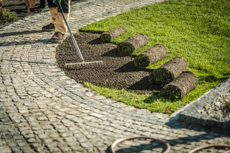 Person raking soil near a stone walkway, preparing to lay rolls of fresh sod onto the ground.