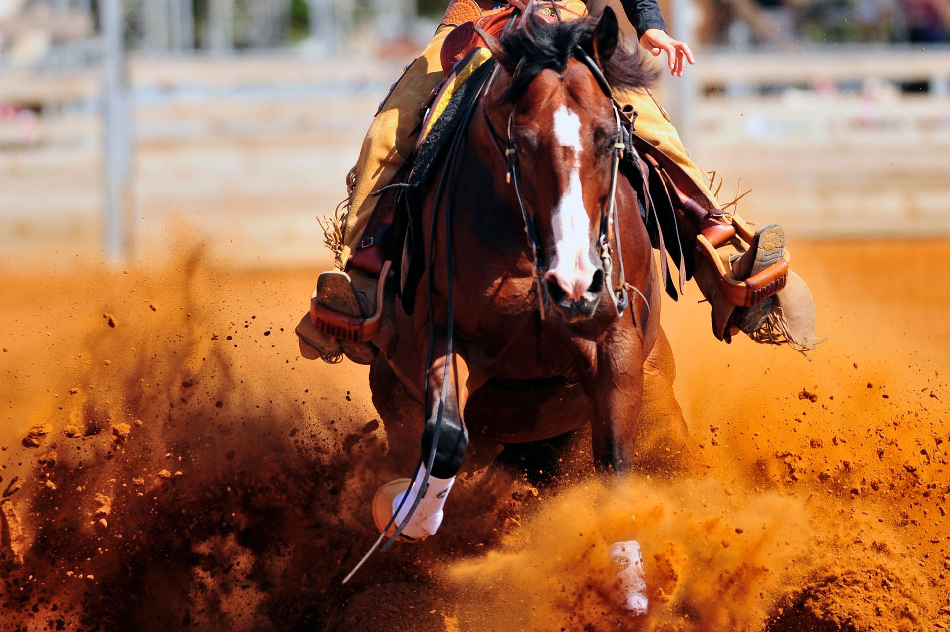 Horse and rider in western saddle kicking up dust in a competition arena.