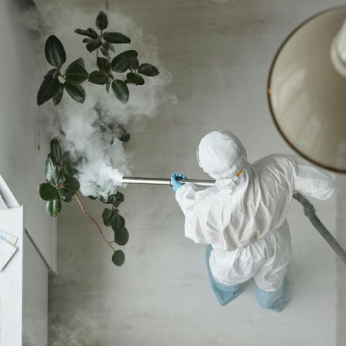 A person in a protective suit is spraying a plant with a vacuum cleaner.