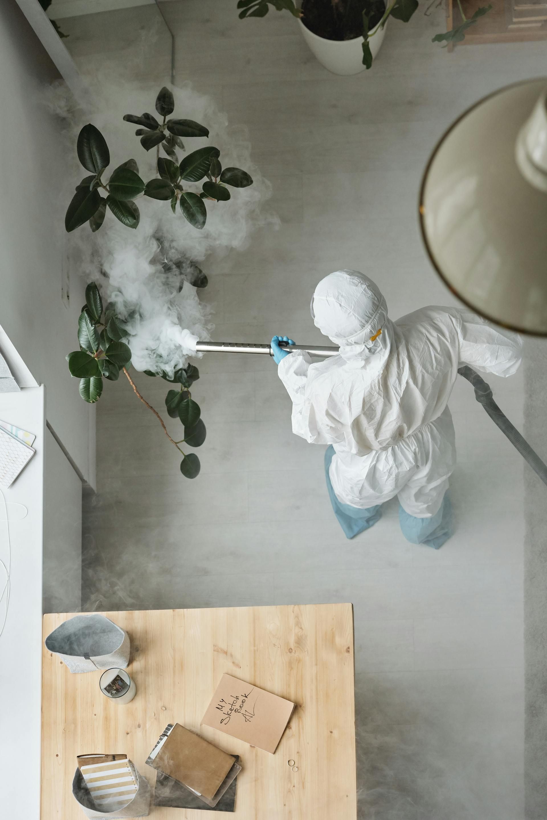 A person in a protective suit is spraying a plant with a sprayer.