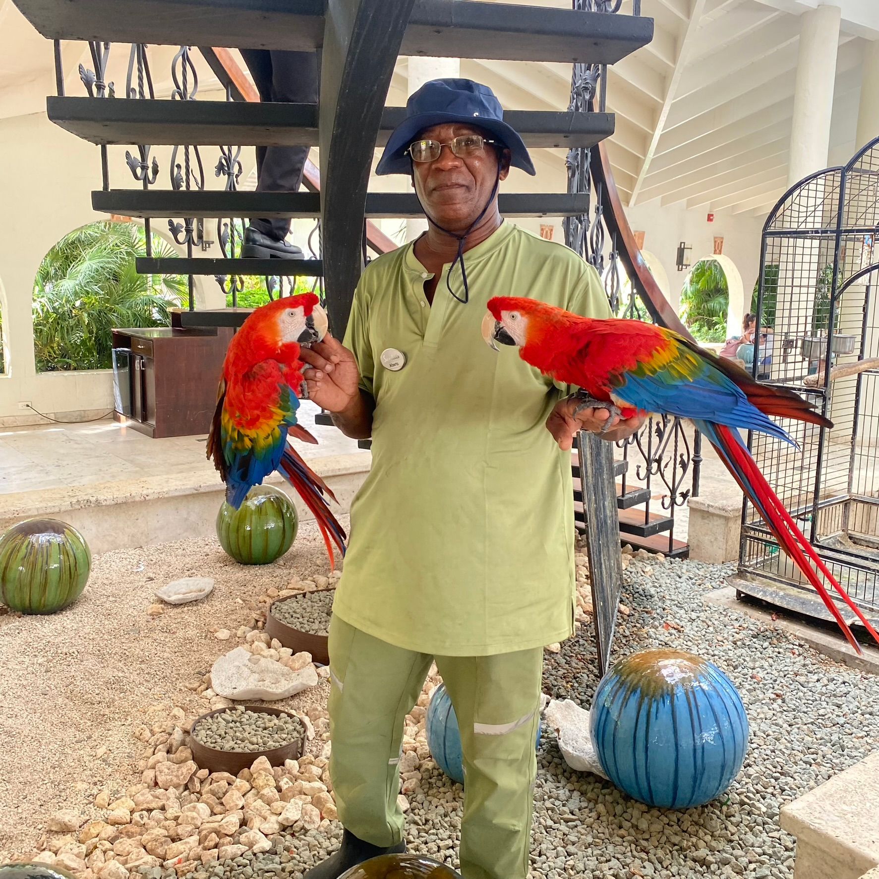 A man holding two parrots in front of a staircase