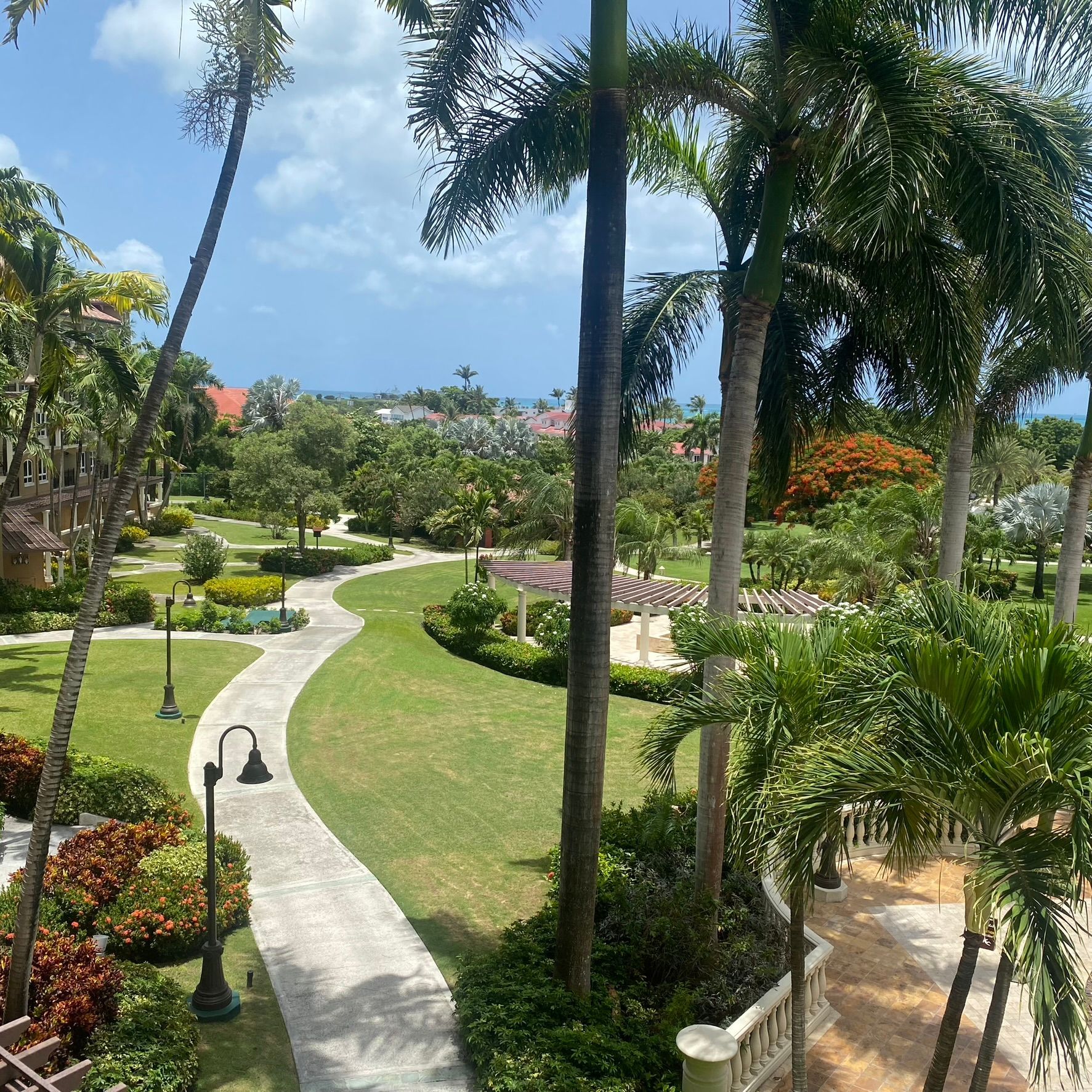 A lush green park with palm trees and a walkway