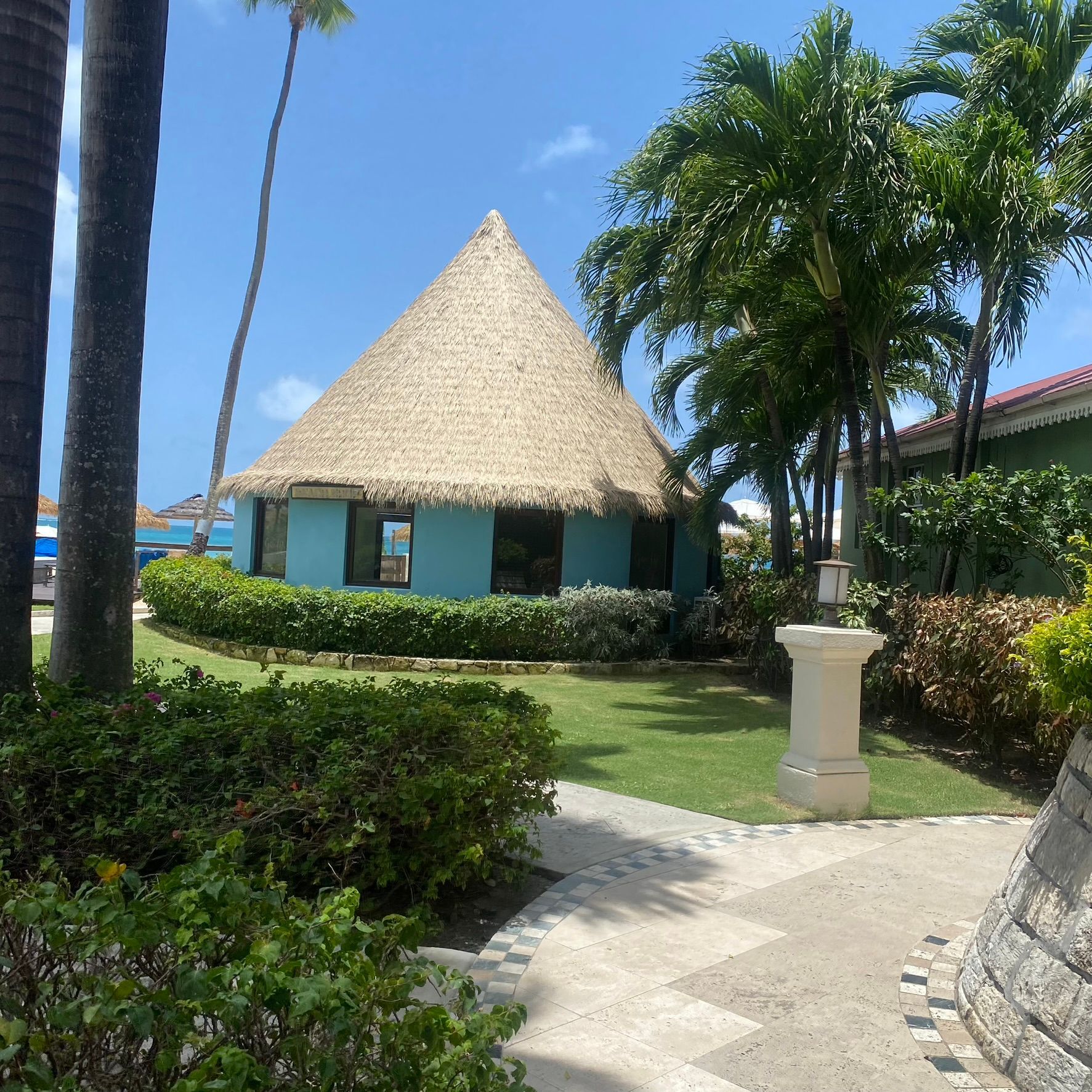 A blue building with a thatched roof is surrounded by palm trees