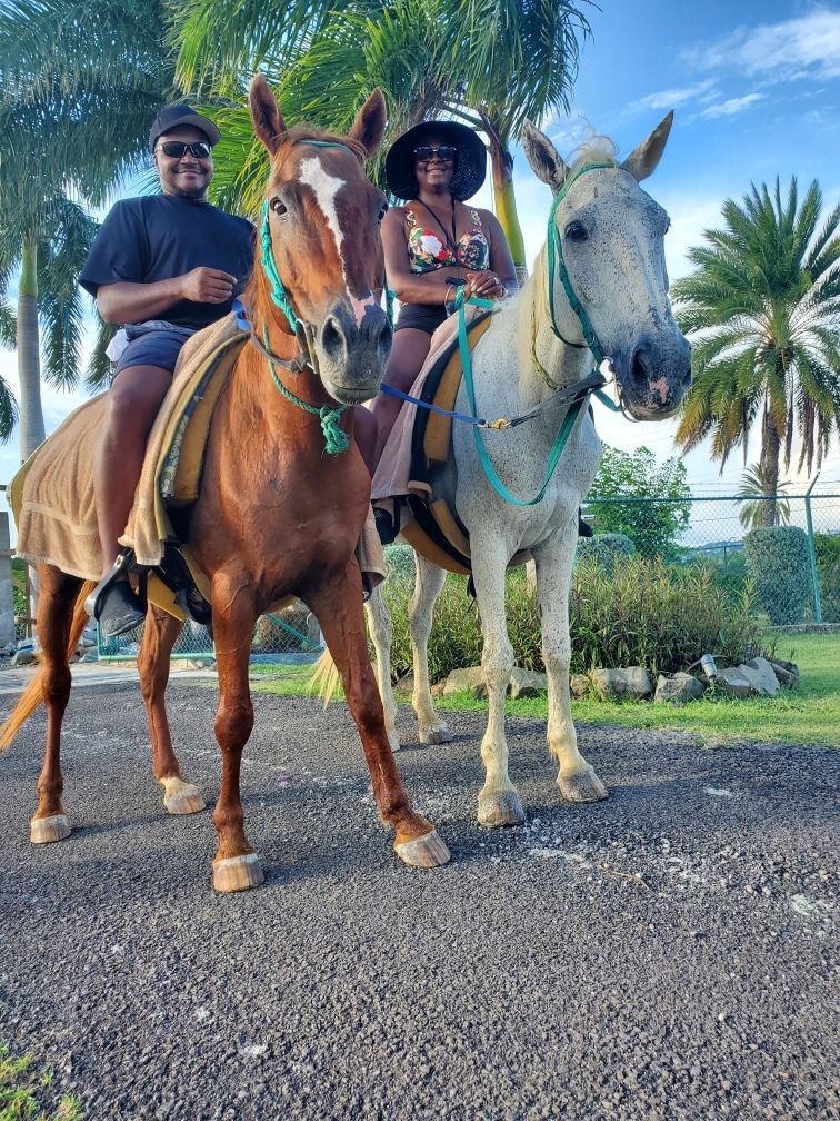 A man and a woman are riding horses on a dirt road.