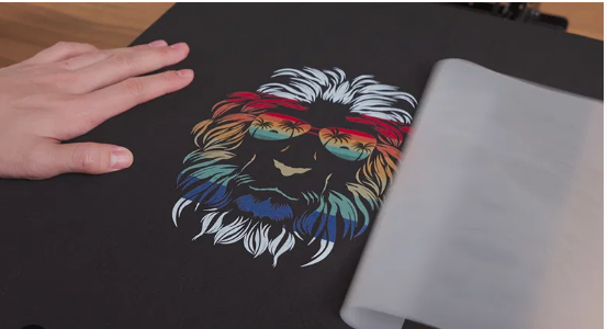 A person is holding a piece of paper with a picture of a lion on it.