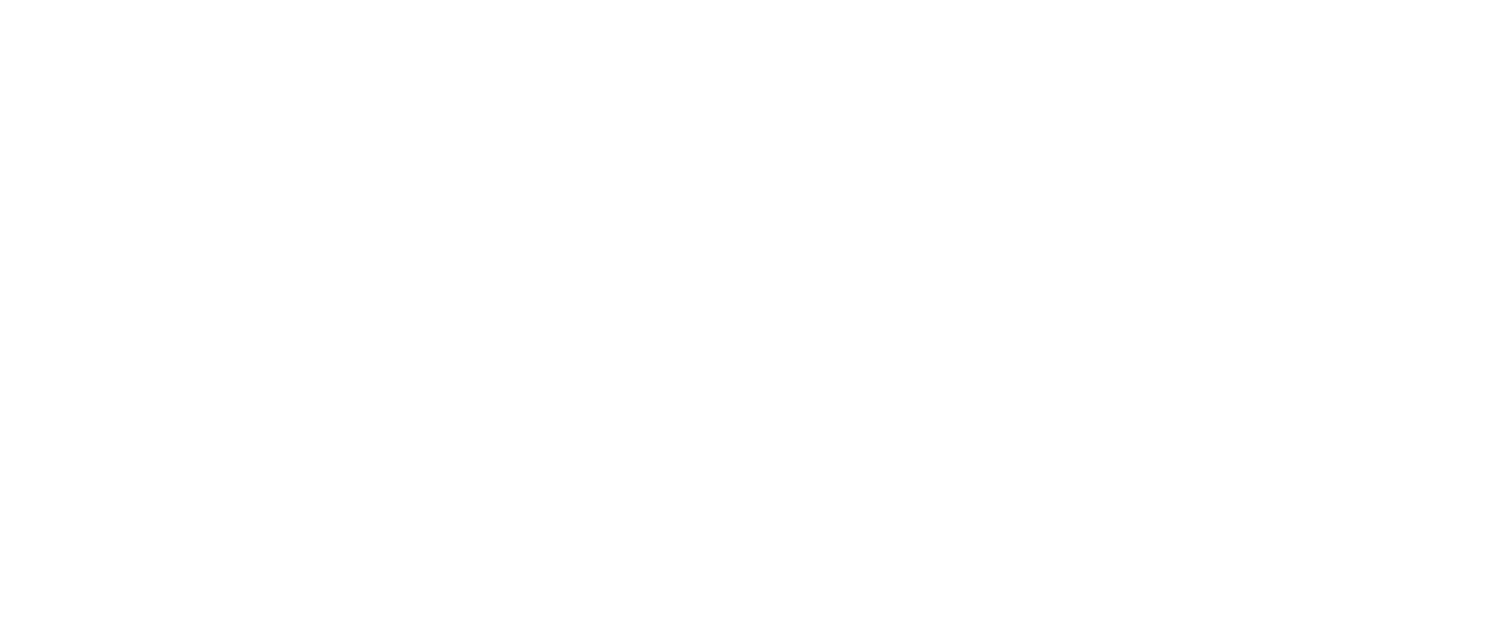 Salvo text logo white image.