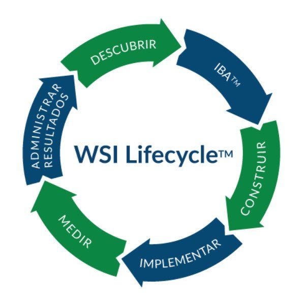 Un logotipo para el ciclo de vida de wsi con flechas apuntando en diferentes direcciones.