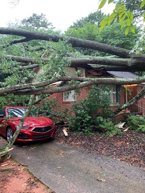 Red car trapped under a fallen tree blocking a driveway beside a house after storm damage