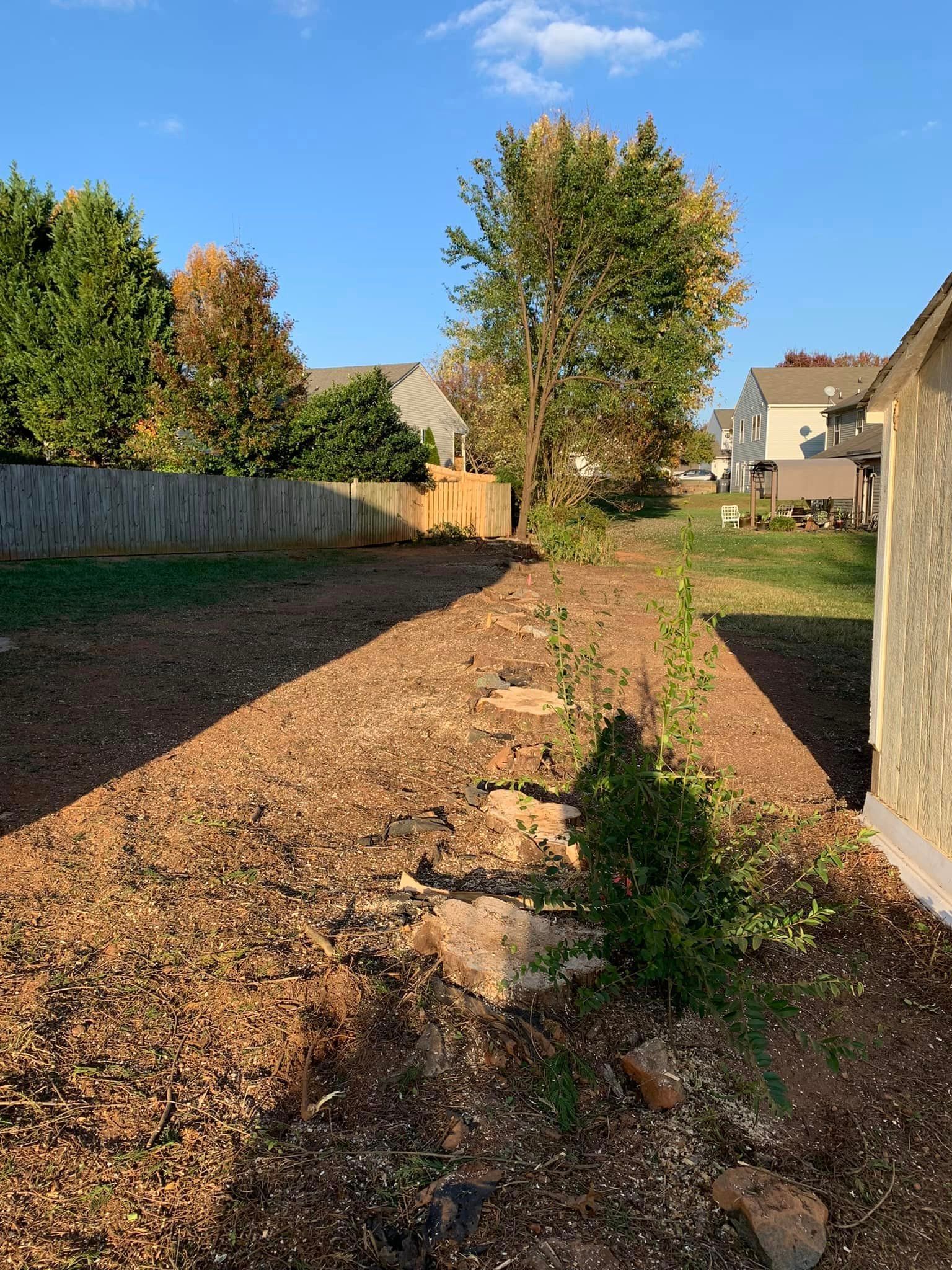 a dirt yard with a fence and a shed in the background