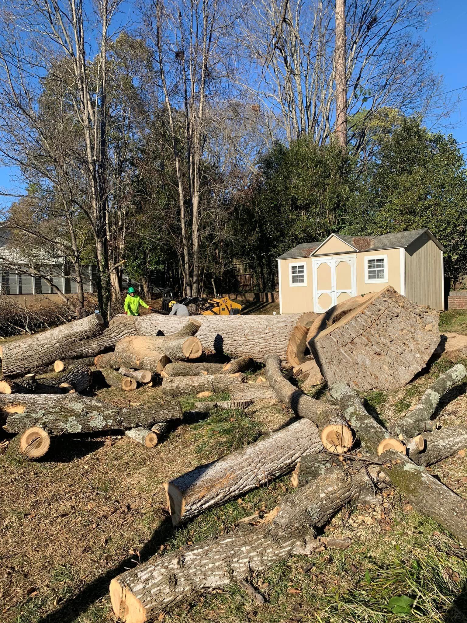 a pile of logs in a yard with a shed in the background